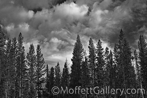 cloudy-skies