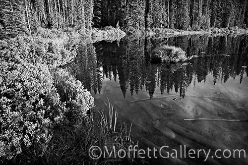 martin_lake2