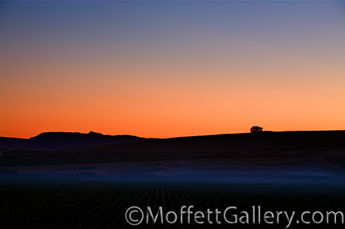 MF-1011.2 Sunset and mist