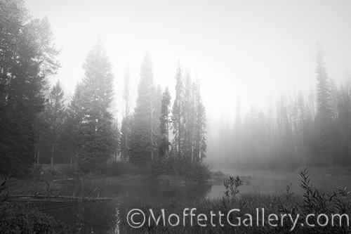 fogforest ponds by Alturas Lake, Blaine County, Idaho