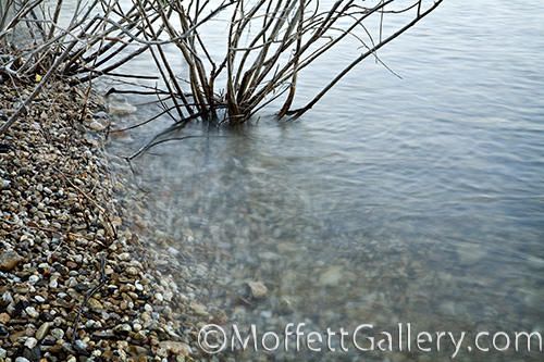 shorellgp