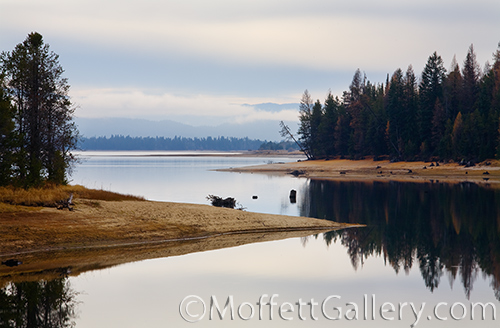 _MG_4065.1