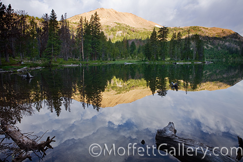 _MG_6512 reflections in Washington Lake